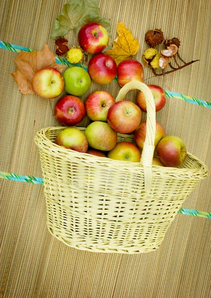 Rijpe appelen — Stockfoto