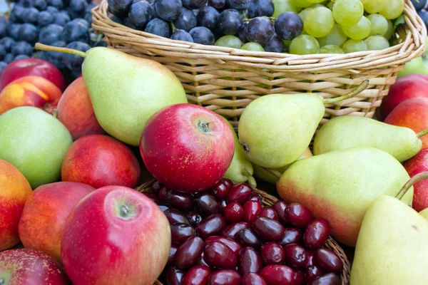 Eine Handvoll verschiedene frische Früchte — Stockfoto