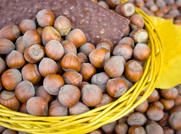 Hazelnuts and hazelnut chocolate — Stock Photo, Image