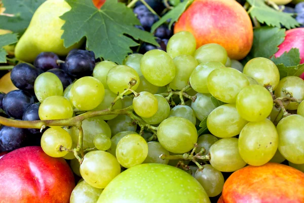 Diferentes frutas orgánicas frescas —  Fotos de Stock