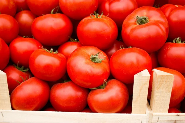 Frische Bio-Tomate in Kiste — Stockfoto