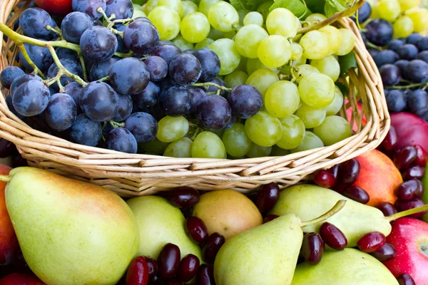 Fresh organic fruits in the wicker basket — Stock Photo, Image