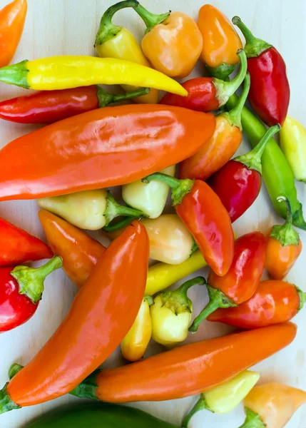 Organic peppers — Stock Photo, Image