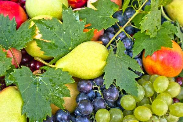 Frutas orgánicas frescas — Foto de Stock
