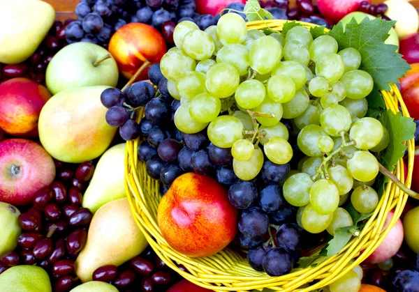 Frutas orgánicas frescas —  Fotos de Stock