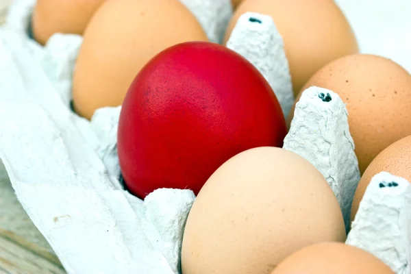 Red Easter Egg — Stock Photo, Image