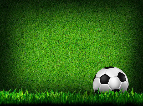 Football in green grass