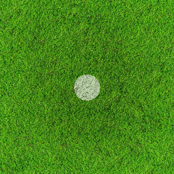Point de pénalité sur le terrain de football herbe . — Photo