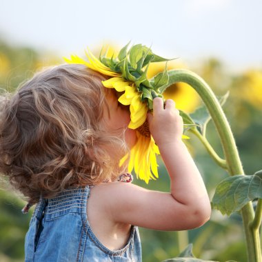 Cute child with sunflower clipart