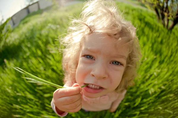 Taste of summer — Stock Photo, Image