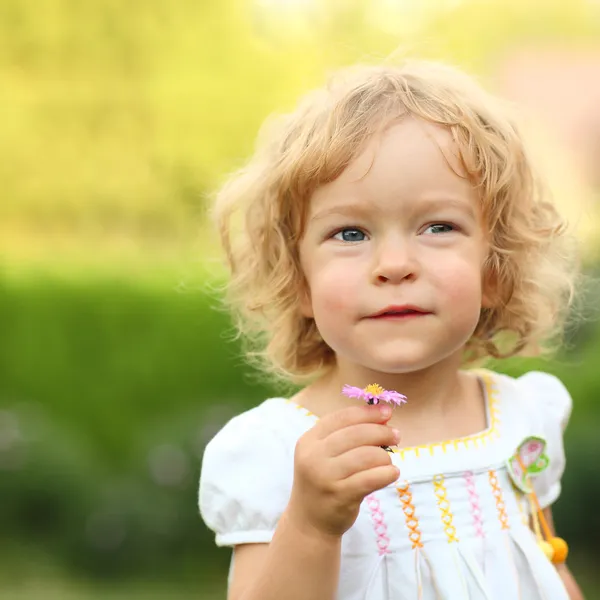 Bir dilek tut — Stok fotoğraf