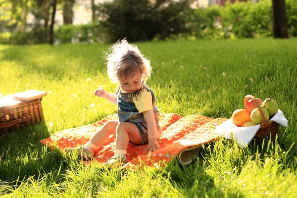 Piknik w parku — Zdjęcie stockowe