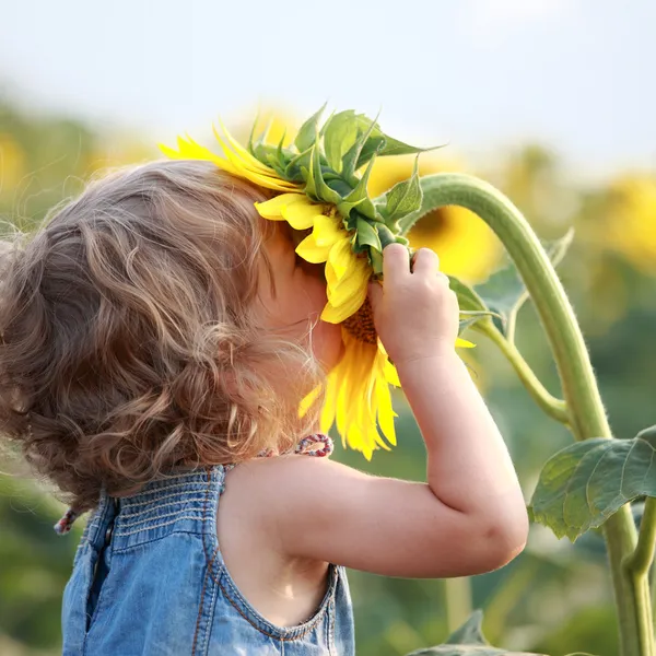 Niedliches Kind mit Sonnenblume Stockbild
