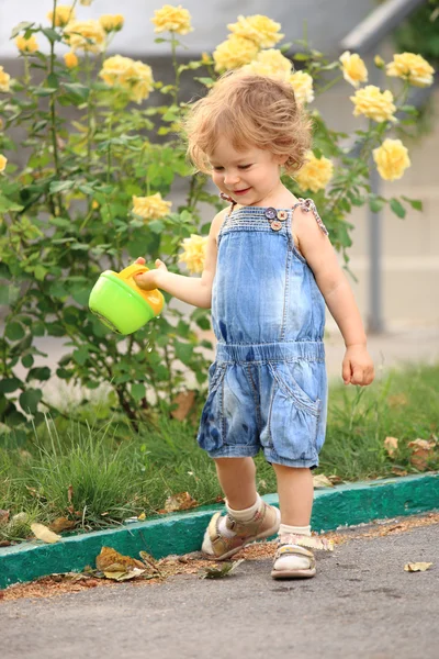 Jardín de verano — Foto de Stock