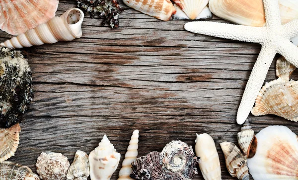 Tengeri kagylókból keret fából készült háttér — Stock Fotó