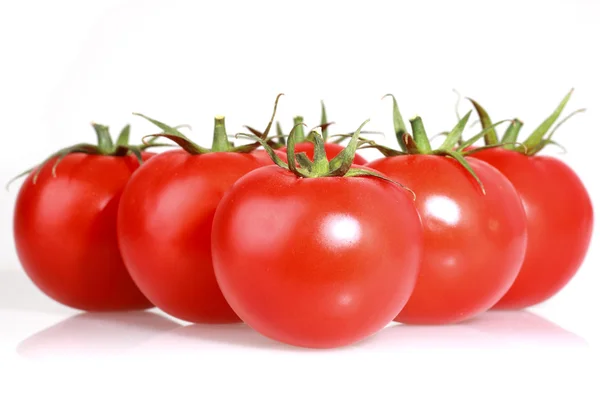 Tomates em branco — Fotografia de Stock