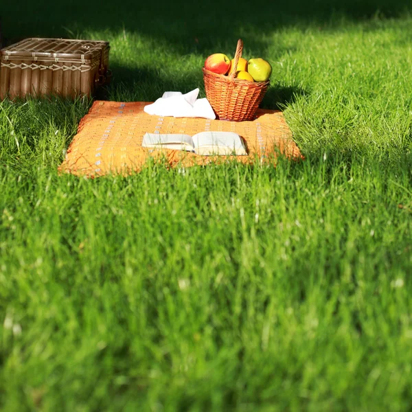 Stock image Picnic