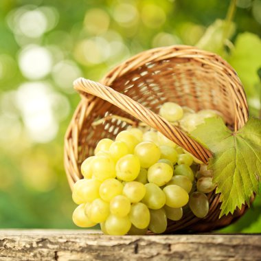 Bunch of graped and vine leaf in basket clipart