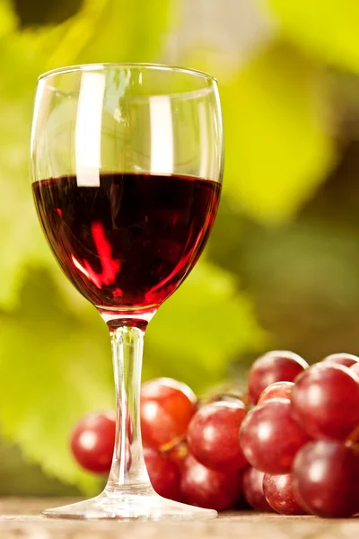 Wine glass and bunch of grapes — Stock Photo, Image