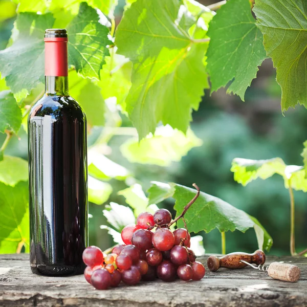 葡萄酒瓶和串葡萄 — 图库照片