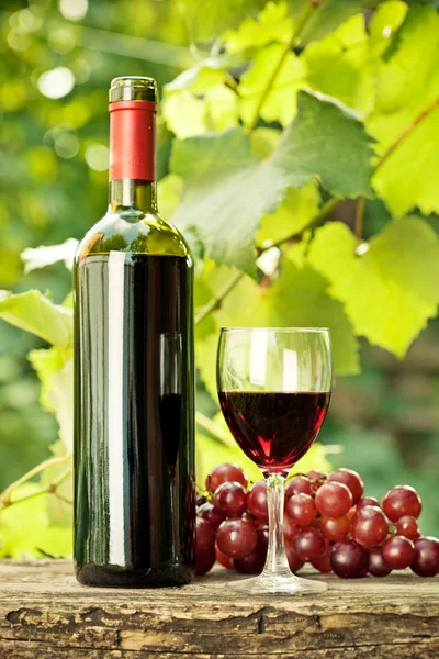 Kırmızı şarap şişesi, cam ve üzüm salkımı — Stok fotoğraf