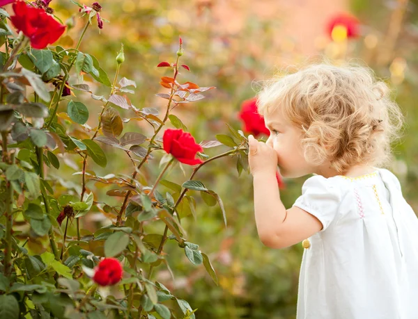 漂亮的孩子嗅到玫瑰 — 图库照片