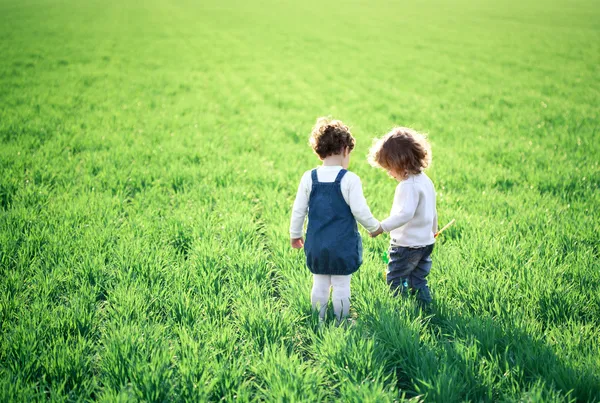 Дети на поле — стоковое фото