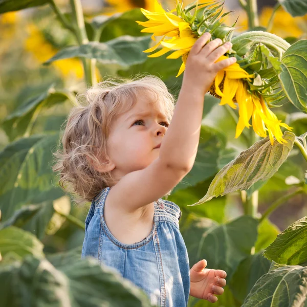 Schönes Kind mit Sonnenblume — Stockfoto