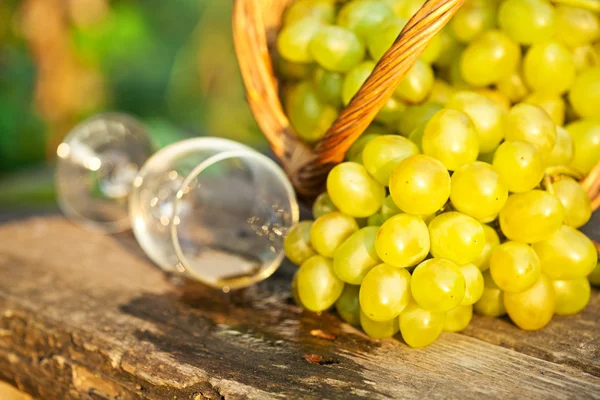 Copo de vinho derramado e uvas frescas — Fotografia de Stock