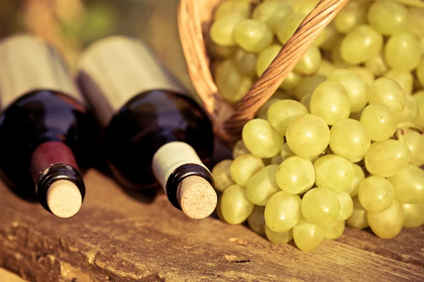 Kırmızı ve beyaz şarap şişeleri ve üzüm salkımı — Stok fotoğraf