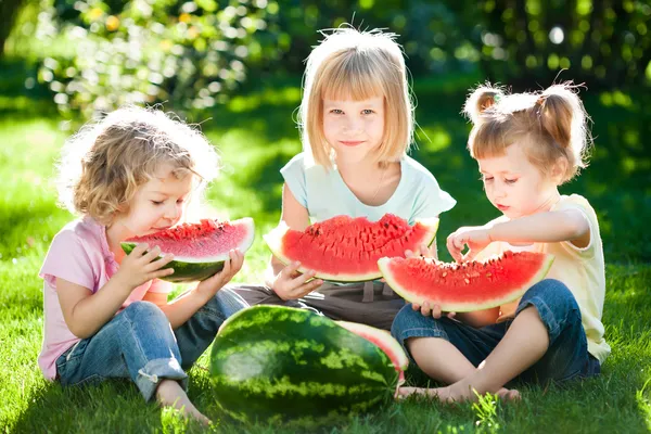 Bambini che fanno picnic — Foto Stock