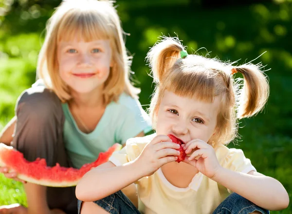 Bambini che fanno picnic — Foto Stock