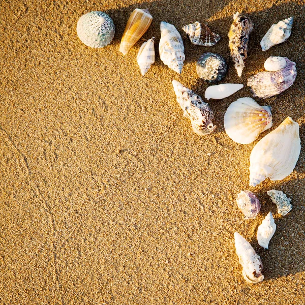 Border from seashells on sand — Stock Photo, Image