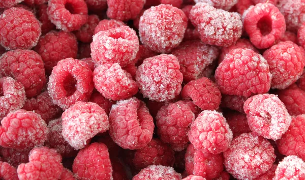 速冻的树莓 图库图片