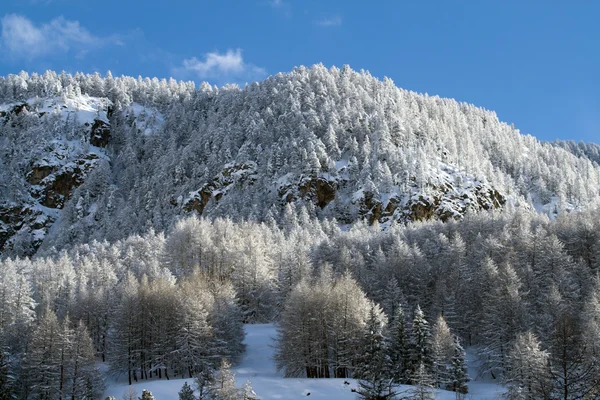 Зима в Pragelato — стокове фото