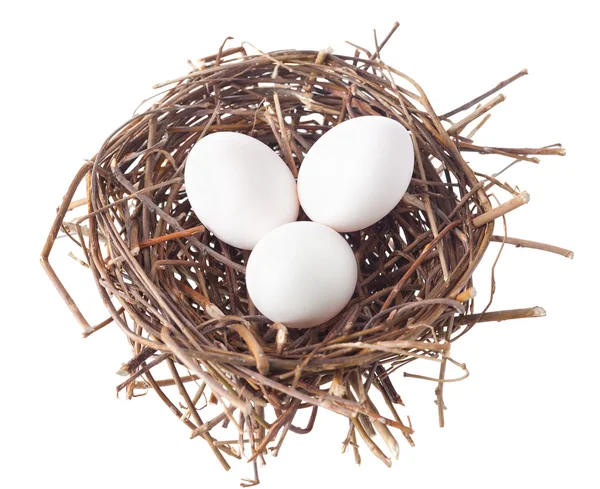 stock image Nest with eggs