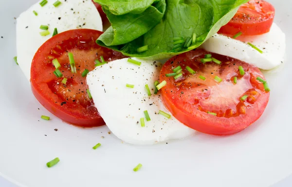 stock image Tricolor salad