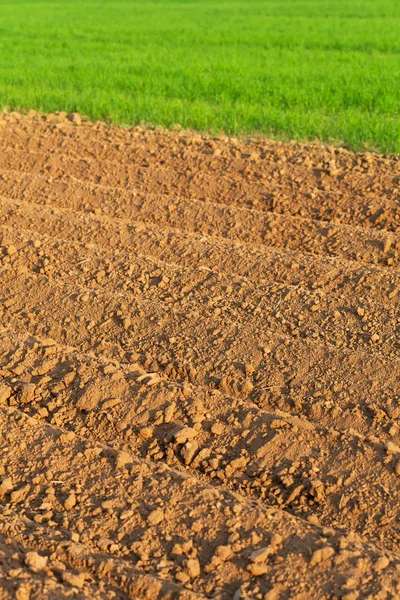 Furrows in spring — Stock Photo, Image
