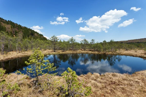 stock image The Mohos peat bog