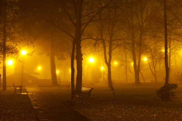 Nebel im Park — Stockfoto