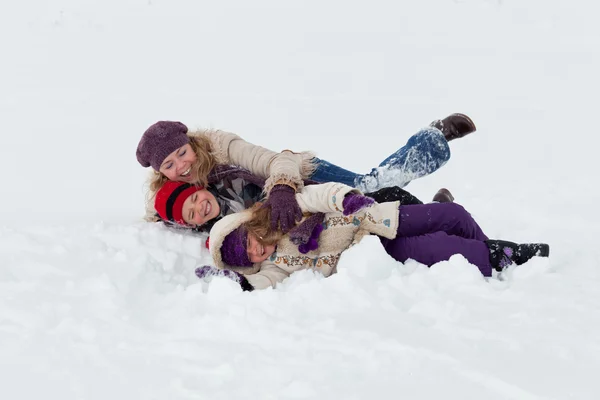 Веселье в снегу — стоковое фото