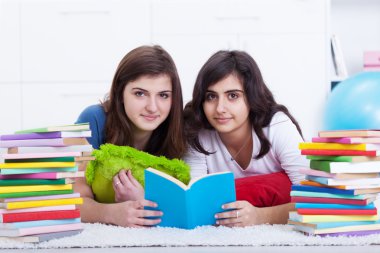 Tutoring concept - girls learning together clipart