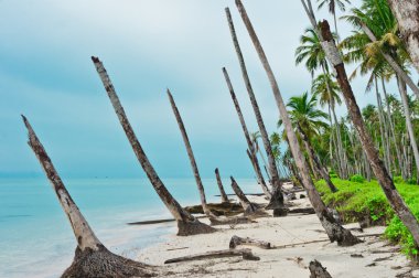 Desert Island Coastline After Tsunami, Banyak Archipelago clipart