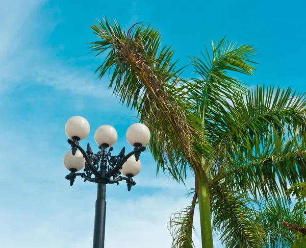 Vintage straat lantaarn en palm tree — Stockfoto
