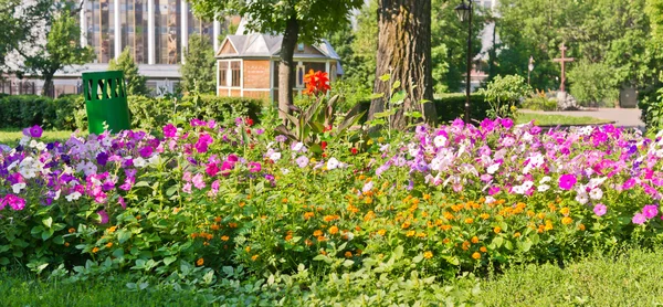 Landscaped flower bed — Stock Photo, Image