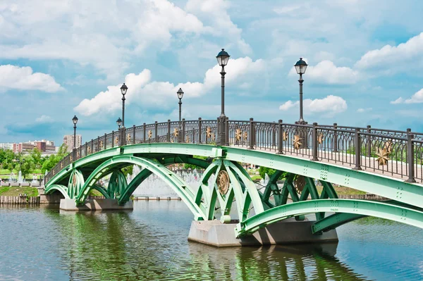 大桥和在 tsaritsino 公园，莫斯科河 — 图库照片