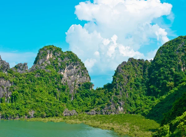Halong bay kayalarda — Stok fotoğraf