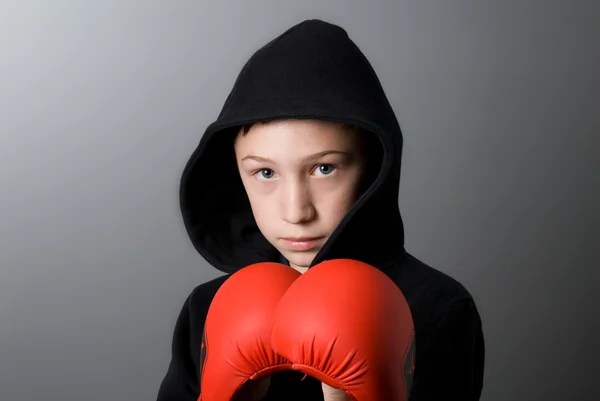 stock image Fighting