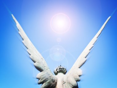 Angel wings clipart