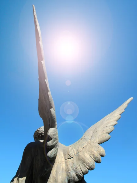 Angel wing on blue sky — Stock Photo, Image